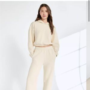 NWT Aritzia The Group Babaton Hoodie
